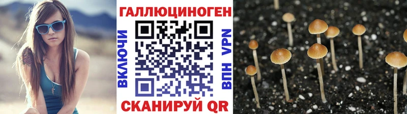 Псилоцибиновые грибы GOLDEN TEACHER  Купить где  Котово 